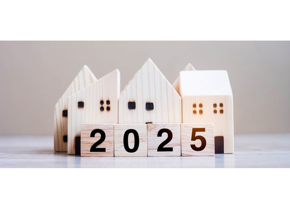 Lo que necesitas saber sobre el mercado inmobiliario actual en Toledo y sus perspectivas para 2025